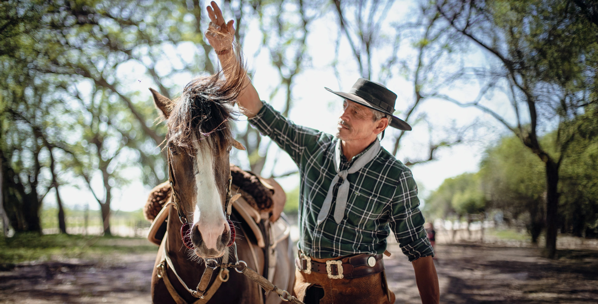 10 NOV | Día de la tradición