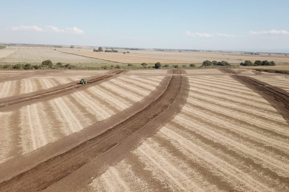 7 JUL | Día de la Conservación del Suelo