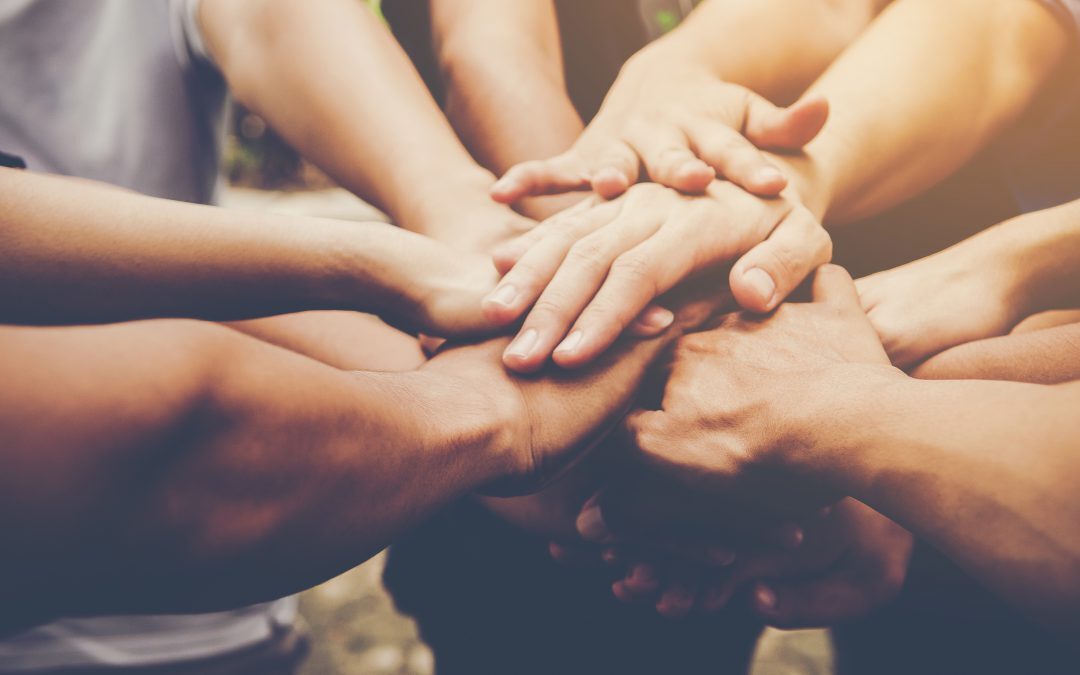 1 SAB JUL | Día Internacional del Cooperativismo